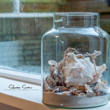 Carpe Diem Egmond Aan Zee By Urban Home Stay Εξωτερικό φωτογραφία