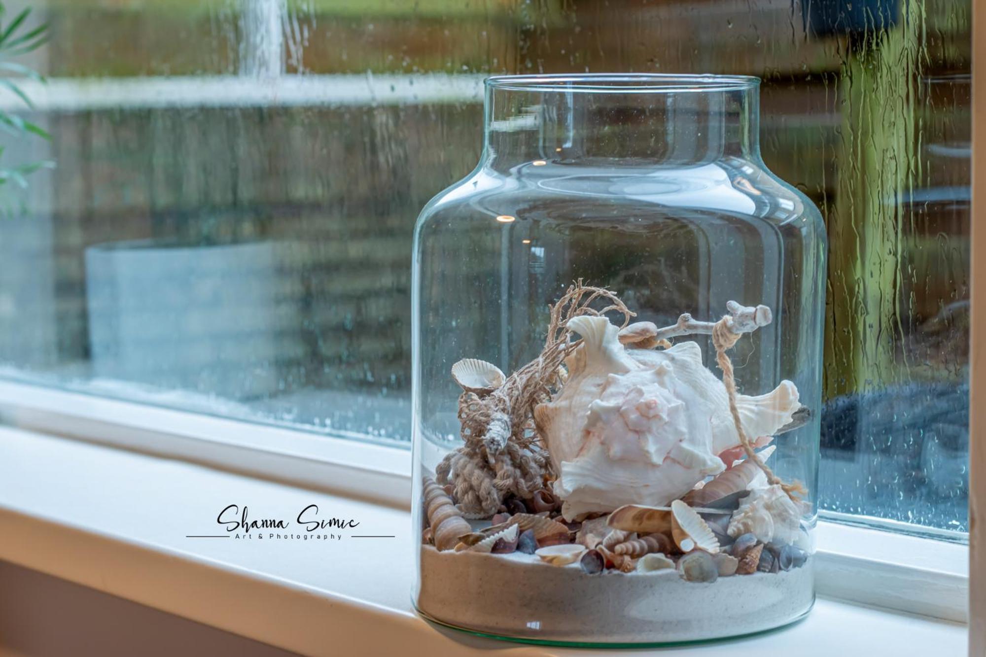 Carpe Diem Egmond Aan Zee By Urban Home Stay Εξωτερικό φωτογραφία